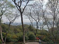 -宝石山