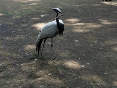 -哈尔滨北方森林动物园