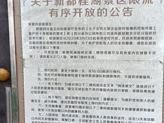 -桂湖森林公园