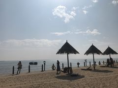 -北海金海湾红树林生态旅游区