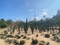 -东莞植物园