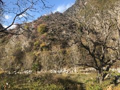 -孟屯河谷景区