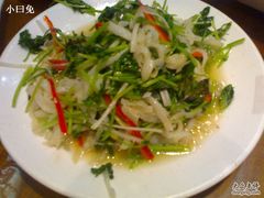 芫爆百叶-到家尝北京菜(西坝河店)