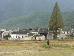 -塔川景区