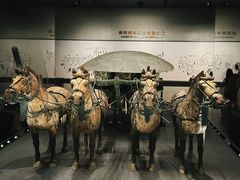 -秦始皇帝陵博物院-丽山园