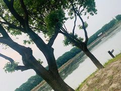 -华东政法大学(松江校区)