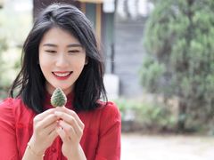 -济南国际园博园