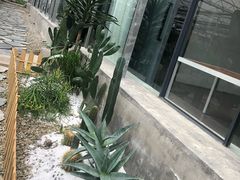 -桉树林A coffee 森林餐厅(三圣乡店)