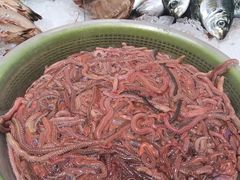 -兴仙饭店·闽味海鲜(马尾总店)
