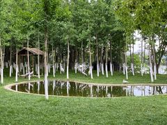 -艾溪湖湿地公园