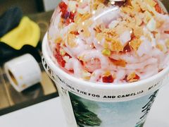 -雾与山茶(大禹城店)