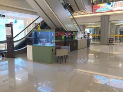 -红星美凯龙(上海沪南店)