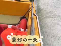 -巢湖姥山岛