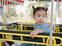 -合肥滨湖国家森林公园