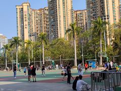 -宝安区体育中心体育馆