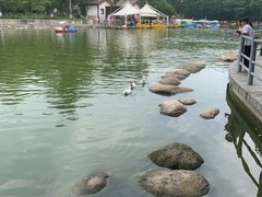 -莲湖公园