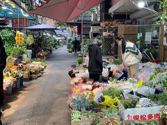 -循礼门鲜花花市(武汉循礼门店)