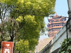 -黄鹤楼公园(黄鹤楼)