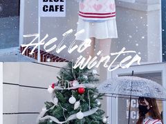 -Blue Concept Cafe&Farm·關於藍