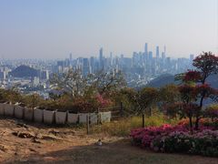 -广州市白云山风景名胜区