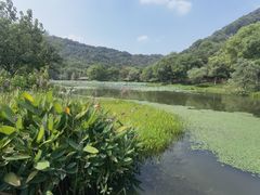 -八卦田遗址公园