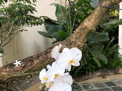 -麦哲伦丝绸度假村