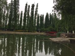 -秀丽东方