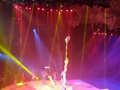 -重庆国际马戏城