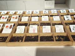 -张一元茶庄(望京店)