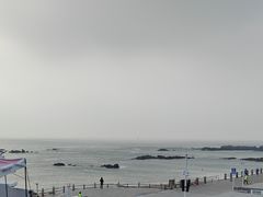 -海合安青岛极地海洋公园