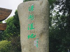 -溱湖国家湿地公园