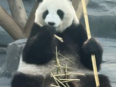 -秦皇岛野生动物园