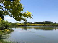 -东郊湿地公园