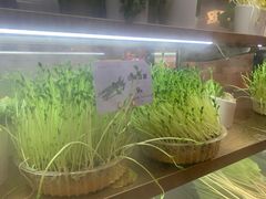 -串一火锅(赛格国际购物中心店)