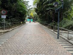 -九龙公园