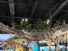 -国家自然博物馆