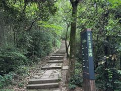 -杭州半山国家森林公园