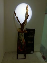 -榕树上·瑜伽普拉提