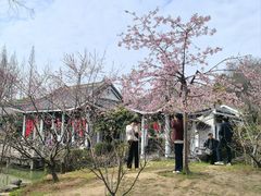 -无锡梅园公园