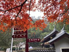 -岳麓山风景名胜区