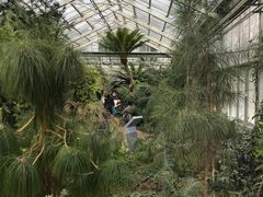 -北京植物园-展览温室