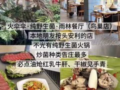 -西双版纳原始森林公园