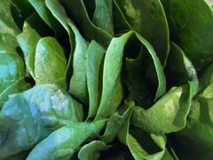 -南门四季铜锅涮肉(大屯·北苑店)