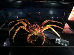 -同济大学四平路校区深海探索馆