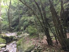 -牛背梁国家森林公园