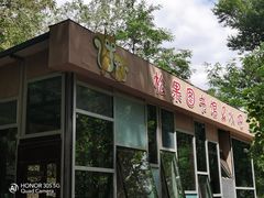 -欢乐松鼠谷