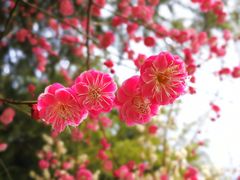 -白塘生态植物园