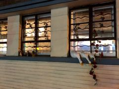 -SISTERS BAR RESTAURANT川意酒馆(嘉善老市H楼店)