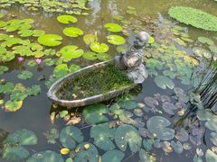 -中国科学院西双版纳热带植物园