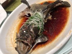 青花椒淋青斑-味茂·老船夫1927(东海东路店)